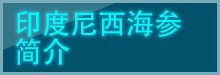印度尼西海参简介 leftmenu title